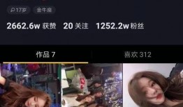 南阳网红爆料是谁啊视频,揭秘“是谁啊”视频背后的神秘人物